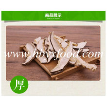 Organische gesunde Shiitake Mushroom Slice Von Hubei
